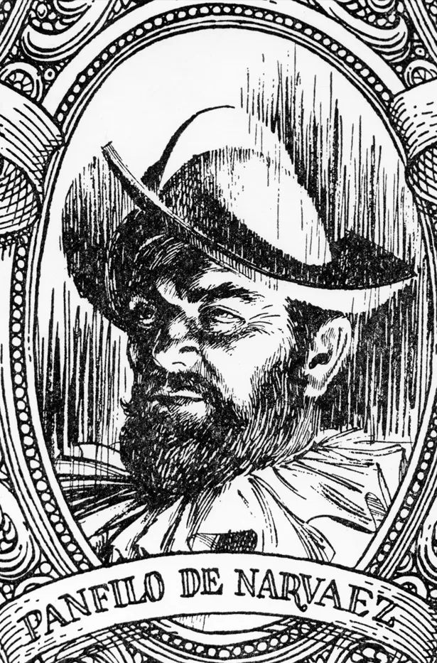 A drawing of conquistador Pánfilo de Narváez