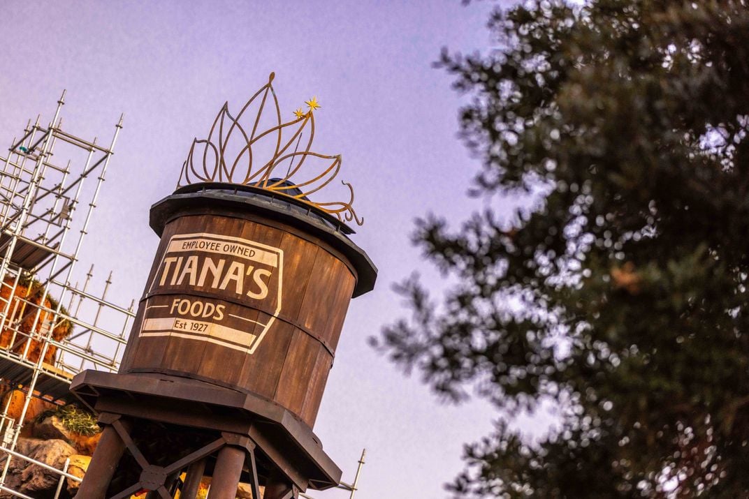 Tiana's Bayou Adventure water tower