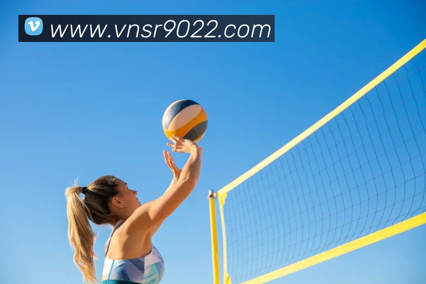 威尼斯娱乐平台平台生态图